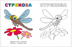 Бабочка. Узнай и раскрась - Фото 3