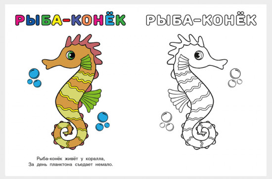 Кит. Узнай и раскрась