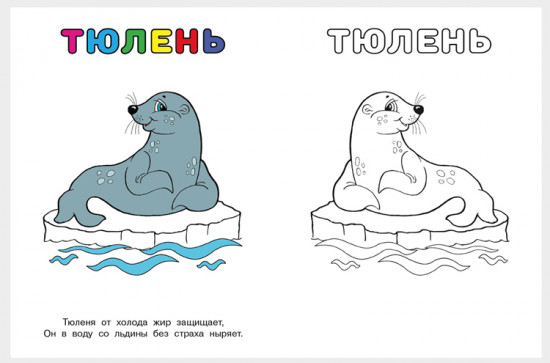 Кит. Узнай и раскрась