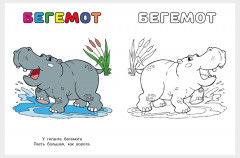 Тигр. Узнай и раскрась - Фото 1