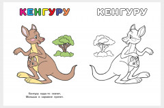 Тигр. Узнай и раскрась - Фото 2