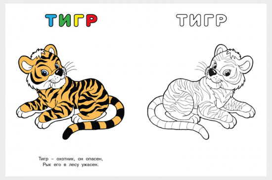 Тигр. Узнай и раскрась