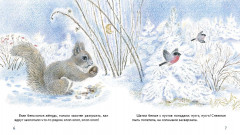 Жил да был в лесу бельчонок - Фото 1