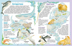 Атлас животных в картинках. Путешествие вокруг света - Фото 7