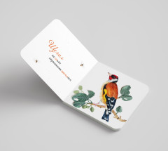 Где твоя птица? - Фото 1