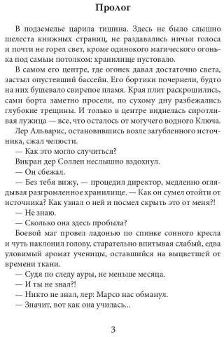 Академия высокого искусства. Книга 4. Беглянка