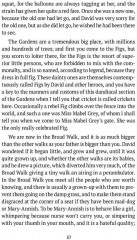 Peter Pan - Фото 2