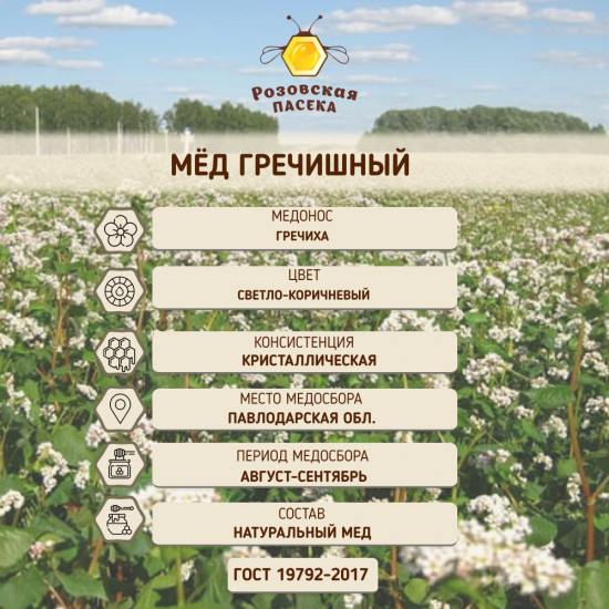 Мед гречишный