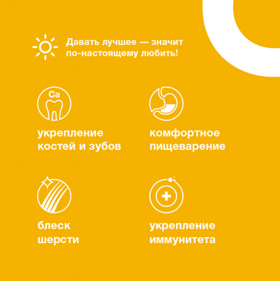 Корм для собак влажный «Суп из курицы»