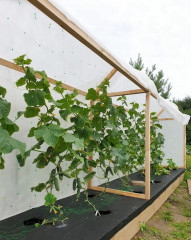 Комплект для огурцов укрывной - Фото 2