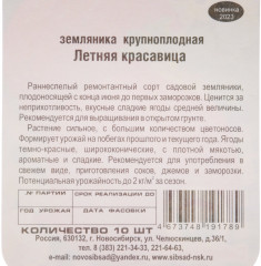 Земляника «Летняя красавица» - Фото 2