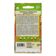 Маргаритка «Красная Пуговка» - Фото 1