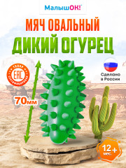 Мяч овальный «Дикий огурец мини» - Фото 1