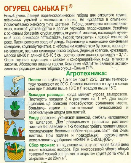 Огурец «Санька F1»