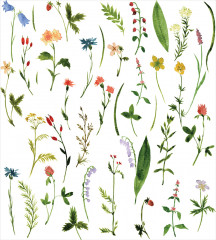 Набор салфеток сервировочных «Редкие цветы» - Фото 2