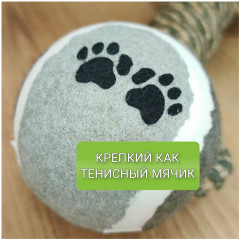 Игрушка для собак, канат и 2 мяча - Фото 1