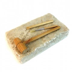 Игровой набор «В поисках динозавров» - Фото 1