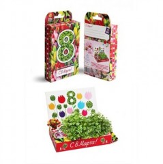 Набор для выращивая «Тюльпаны» - Фото 2