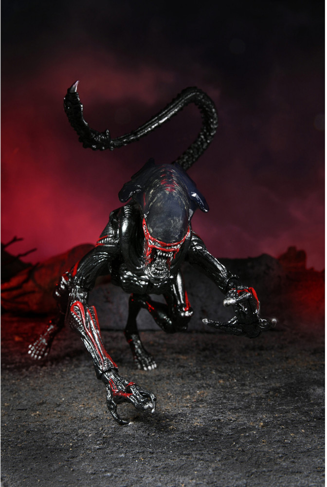 Фигурка «Night Cougar Alien» | Alien | NECA | Фото 3