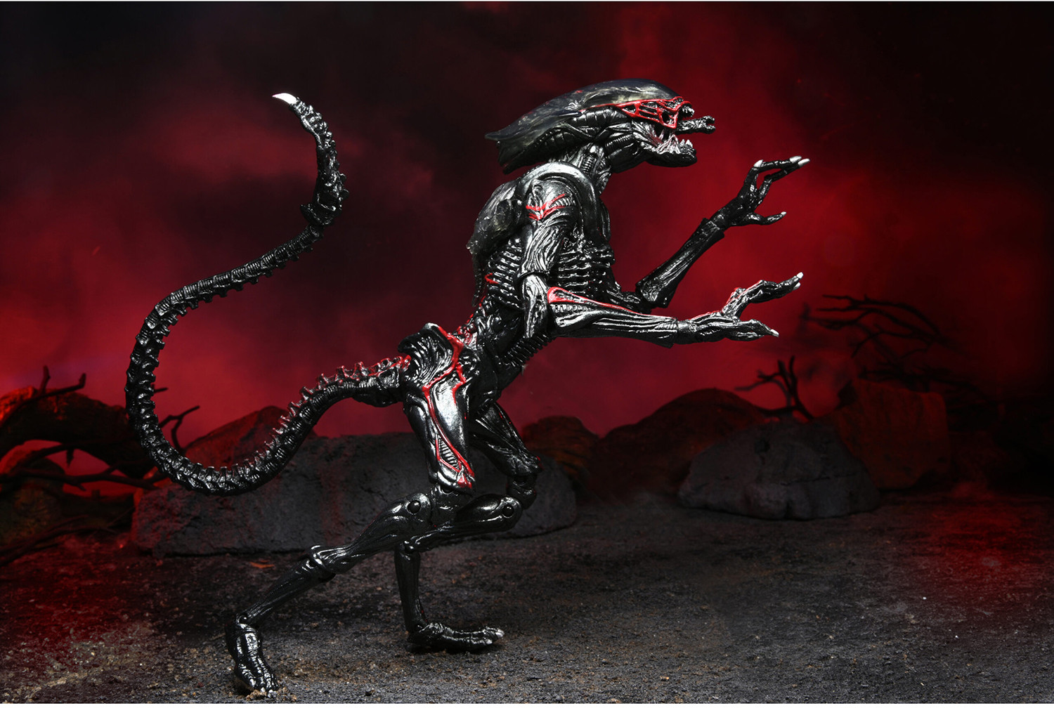 Фигурка «Night Cougar Alien» | Alien | NECA | Фото 4