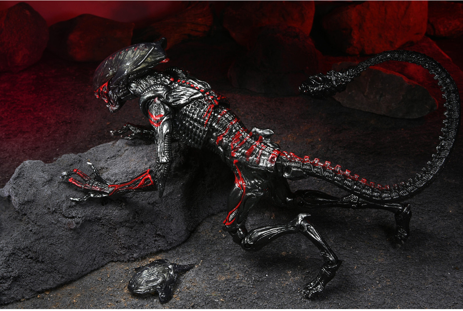 Фигурка «Night Cougar Alien» | Alien | NECA | Фото 5