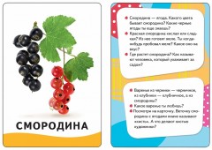 Овощи, фрукты, ягоды. Развивающие карточки - Фото 1