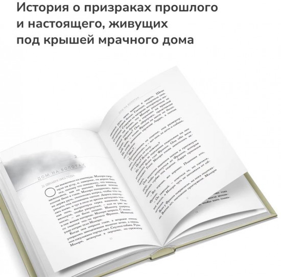 Дом на болотах