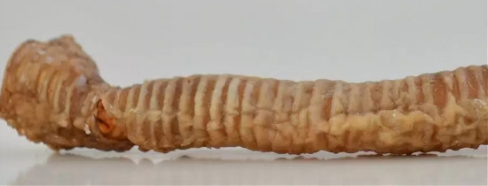 Лакомство для собак «Трахея говяжья»