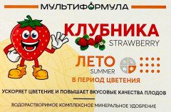 Удобрение минеральное для клубники - Фото 2