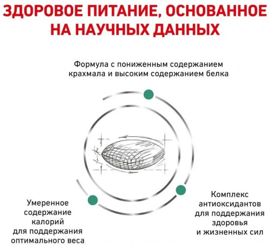 Корм для кошек при сахарном диабете