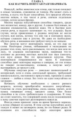 Попугаи - Фото 1