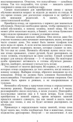 Попугаи - Фото 2