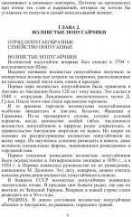 Попугаи - Фото 6