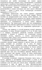 Певчие птицы - Фото 2