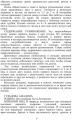 Певчие птицы - Фото 4