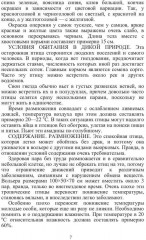 Певчие птицы - Фото 5