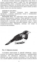 Певчие птицы - Фото 6