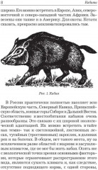 Охота на кабана - Фото 5