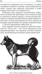 Охота на кабана - Фото 7