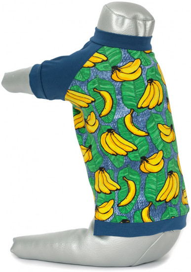 Футболка для собак «Эквадор»