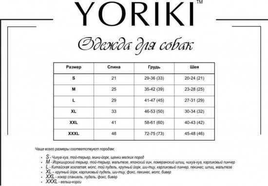 Футболка для собак «Эквадор»