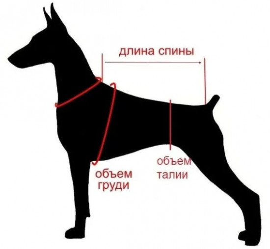 Жилет для собак «Аляска»