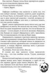 Птица Пограничья - Фото 4