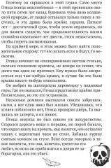 Птица Пограничья - Фото 7