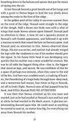 Nomads of the North - Фото 4