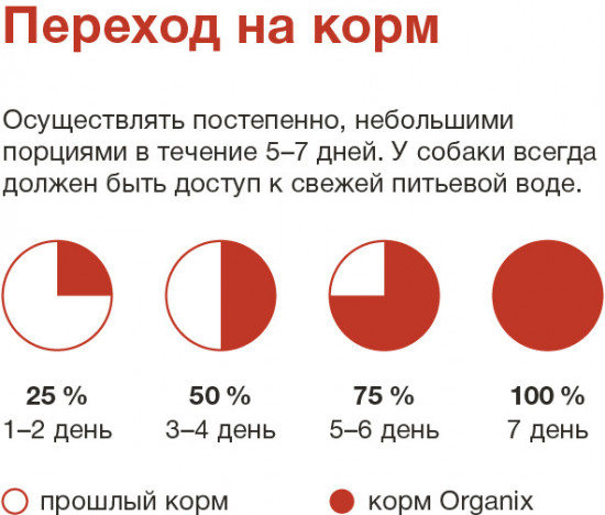 Корм для собак влажный «Суп из говядины»