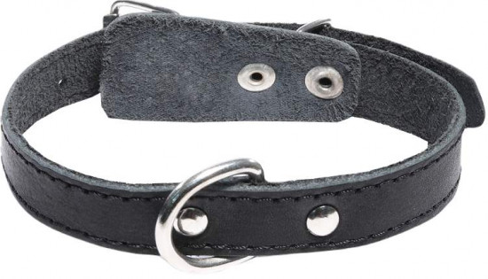 Ошейник для собак