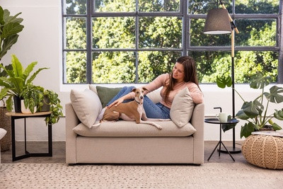 Ошейник для собак классический