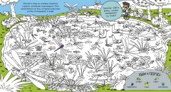 Найди и раскрась. Сад - Фото 1