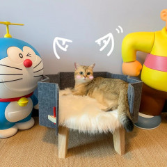 Лежак для кошек «Звезда» - Фото 1